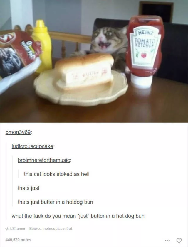 Hilarious cat posts - #1 