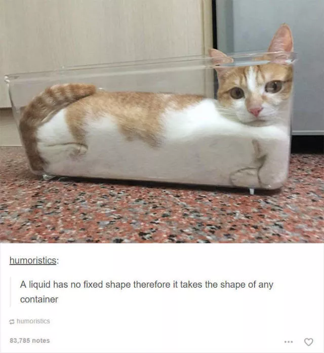 Hilarious cat posts - #25 