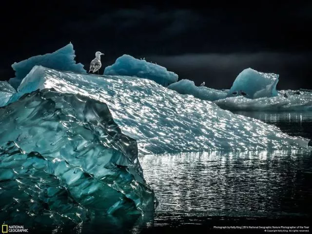The best works from national geographic nature photographer - #6 