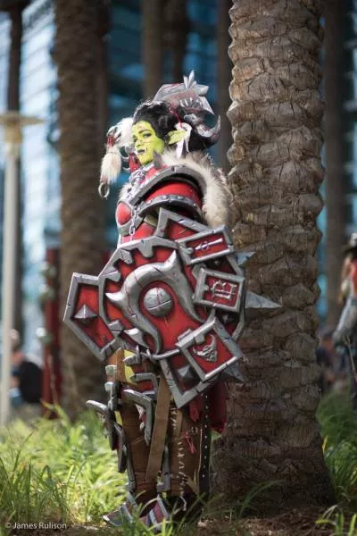 Top cosplayers from the blizzcon event - #28 