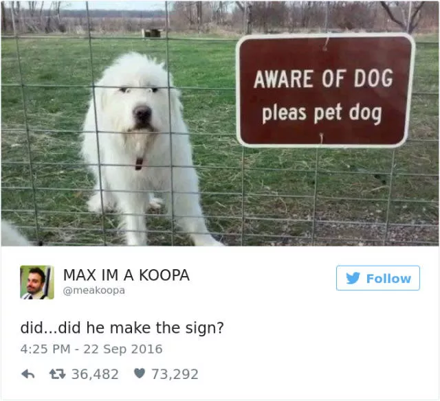 Funniest tweets about dogs - #13 