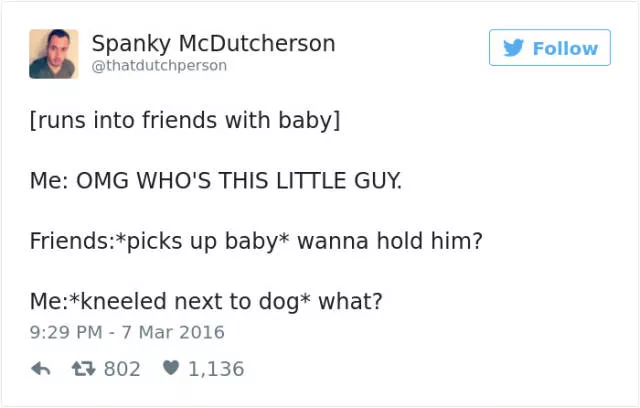 Funniest tweets about dogs - #31 