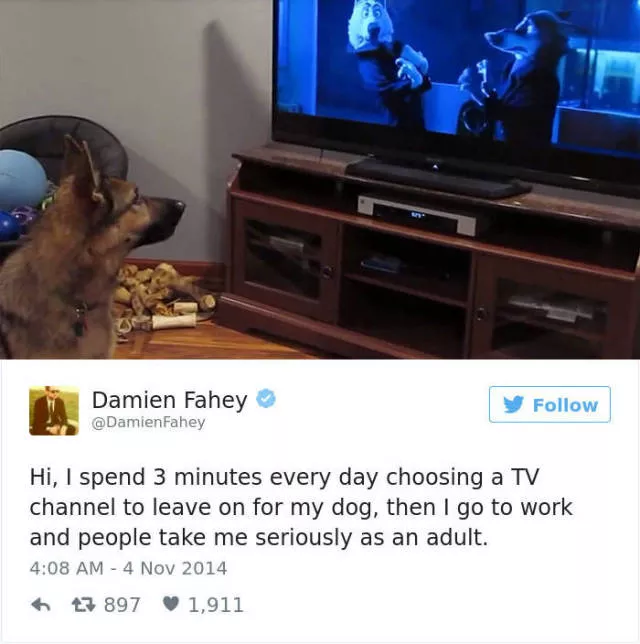Les tweets les plus drles concernant les chiens