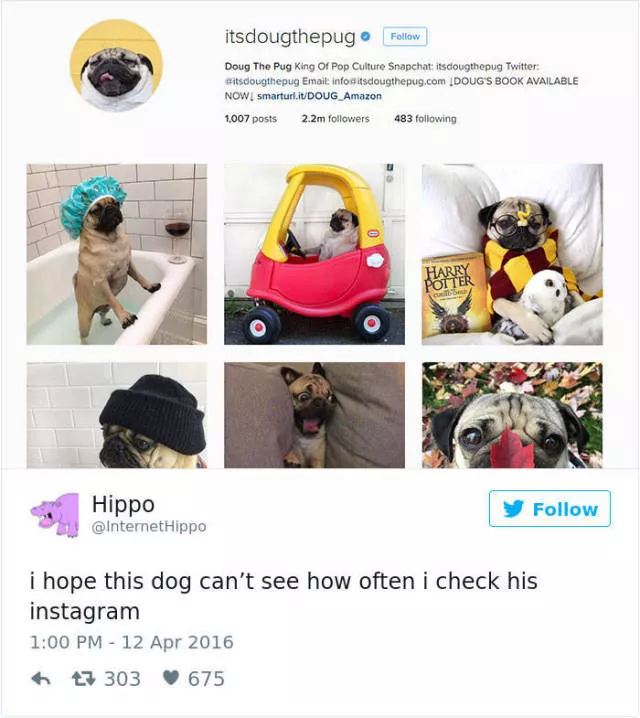 Funniest tweets about dogs - #42 
