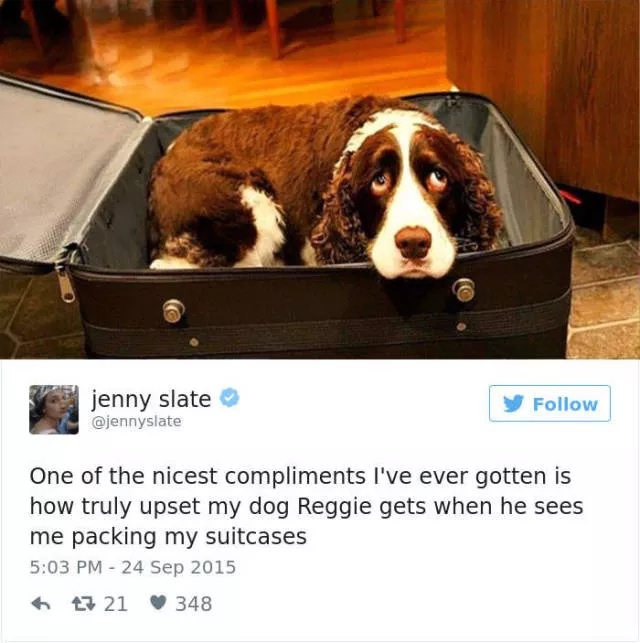 Funniest tweets about dogs - #43 