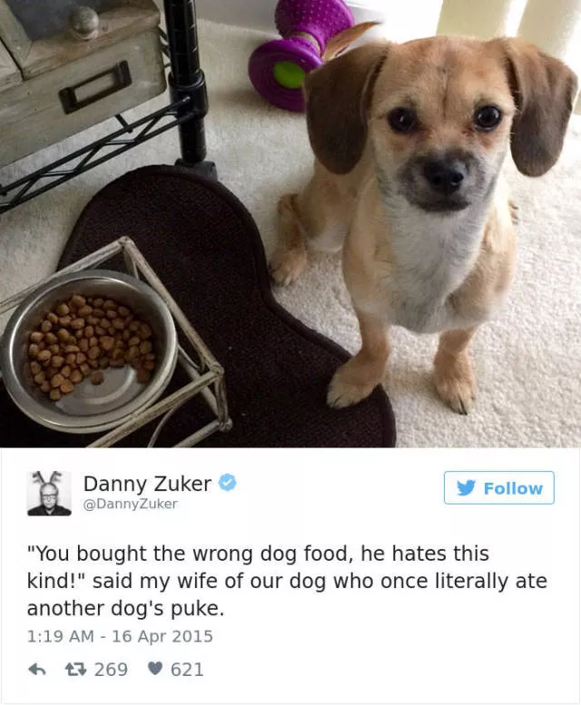 Funniest tweets about dogs - #50 