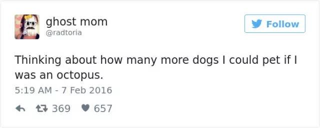 Funniest tweets about dogs - #54 