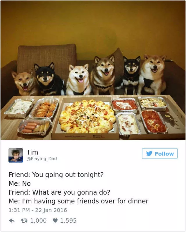 Funniest tweets about dogs - #6 
