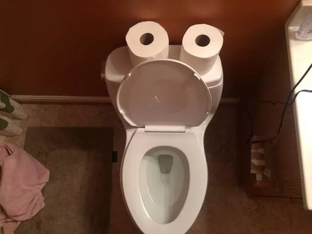 Toilettes creativit