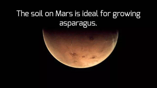 What you should to know about the planet mars - #5 