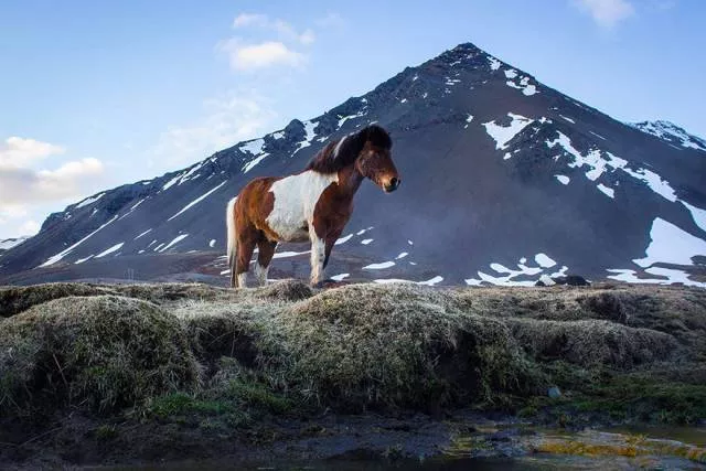 La nature en islande - #58 