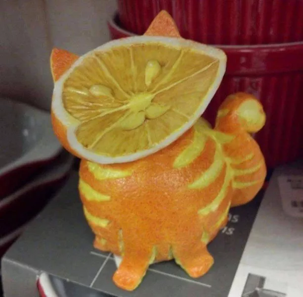 Playing with your food is quite fun - #11 