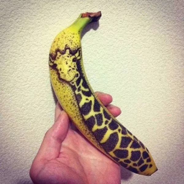 Playing with your food is quite fun - #17 