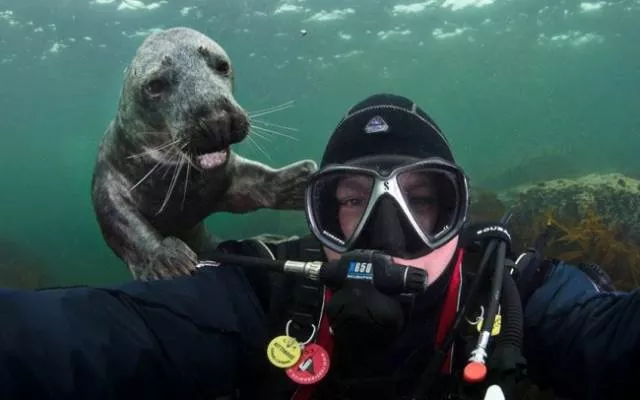 Animals are the kings of photobomb - #23 