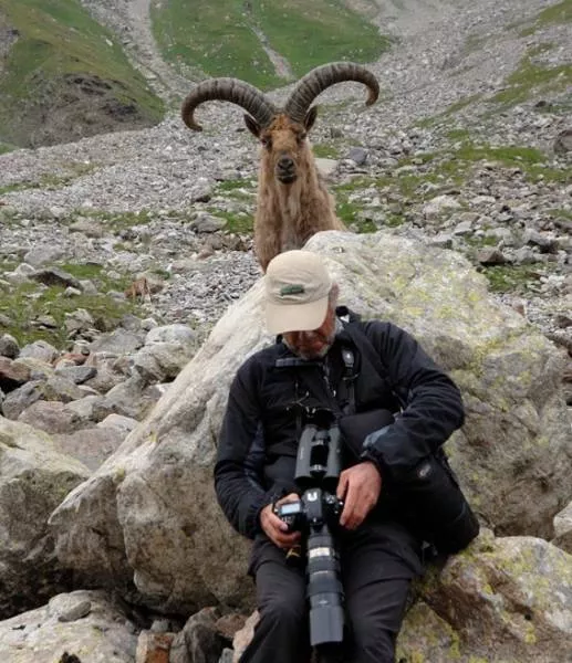 Animals are the kings of photobomb - #24 
