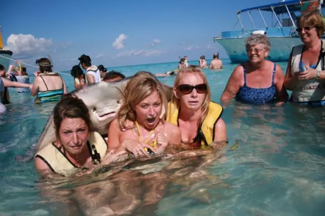 Animals are the kings of photobomb - #25 
