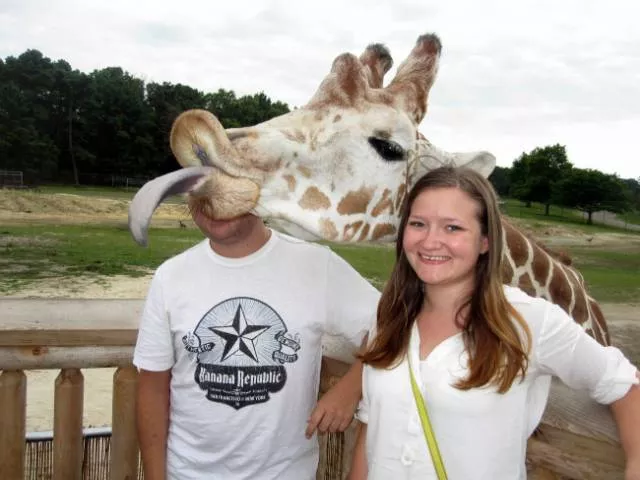 Animals are the kings of photobomb - #4 