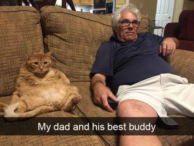 Funniest and hilarious cat snapchats - #20 