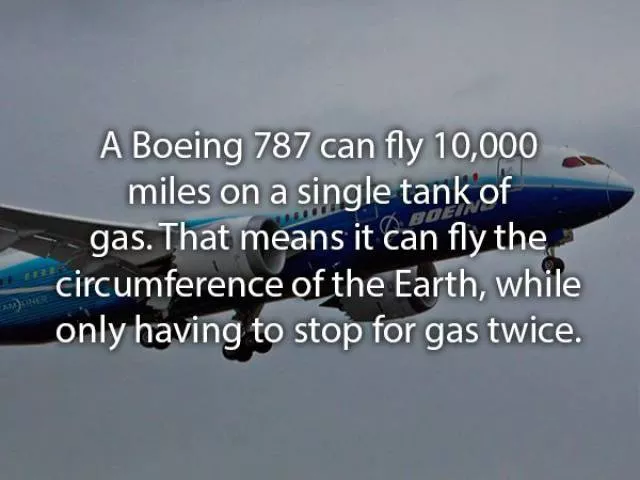 Some facts about flights