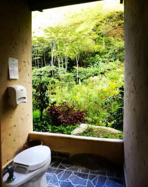 The most exciting bathrooms in the world