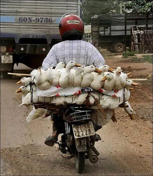 Weird modes of transportation from around the world - #10 
