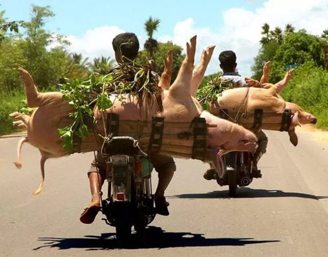 Weird modes of transportation from around the world