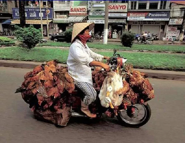 Weird modes of transportation from around the world - #14 
