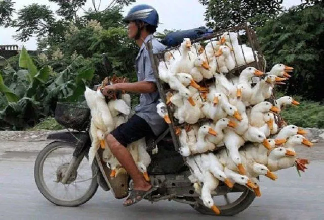 Weird modes of transportation from around the world - #16 