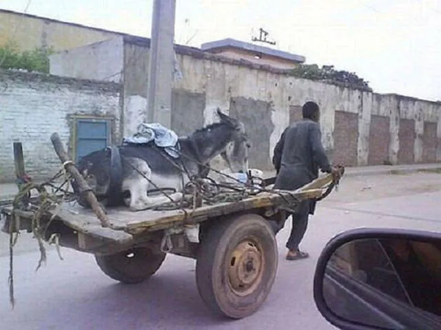 Weird modes of transportation from around the world - #25 