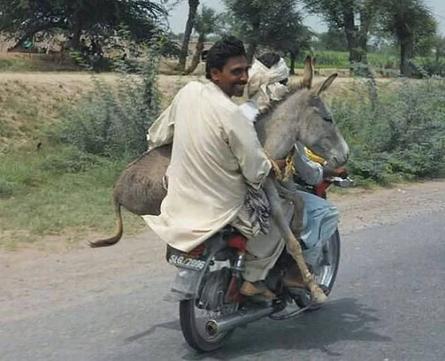 Weird modes of transportation from around the world - #26 