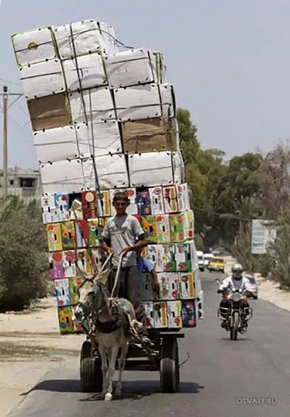 Weird modes of transportation from around the world - #30 