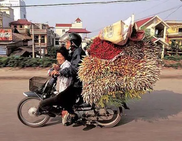 Weird modes of transportation from around the world - #39 
