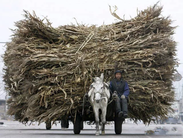 Weird modes of transportation from around the world - #47 