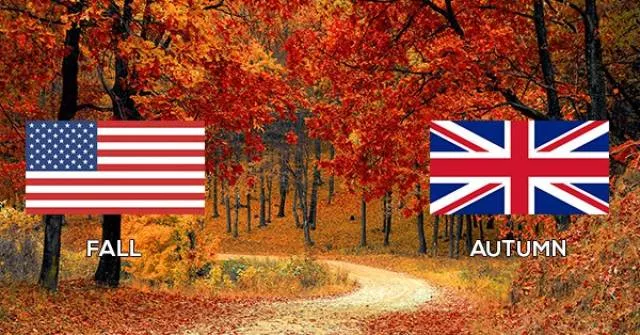 Some differences between british and american english - #5 