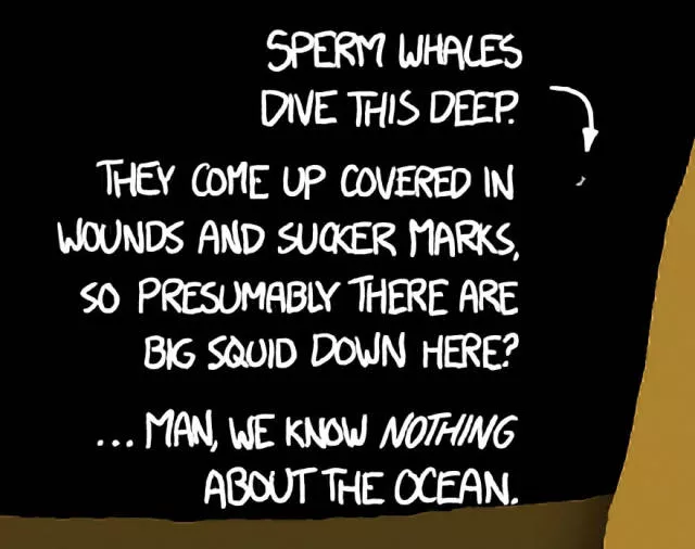 Some facts about oceans - #6 