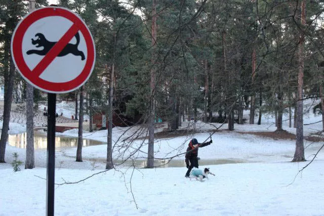 Meanwhile in russia - #31 