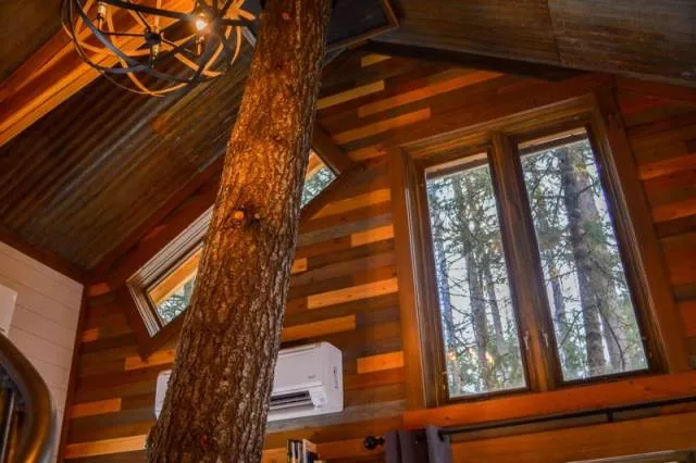 The most luxurious treehouse - #23 