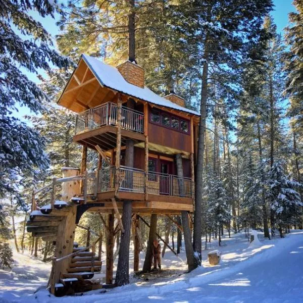 The most luxurious treehouse - #5 