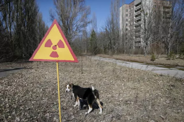 Inside chernobyl 30 years after the meltdown - #20 