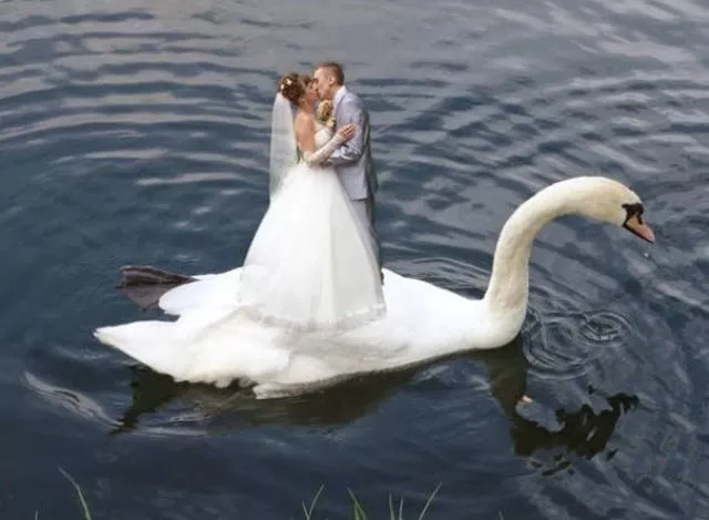 Wtf the best russian wedding photos - #14 