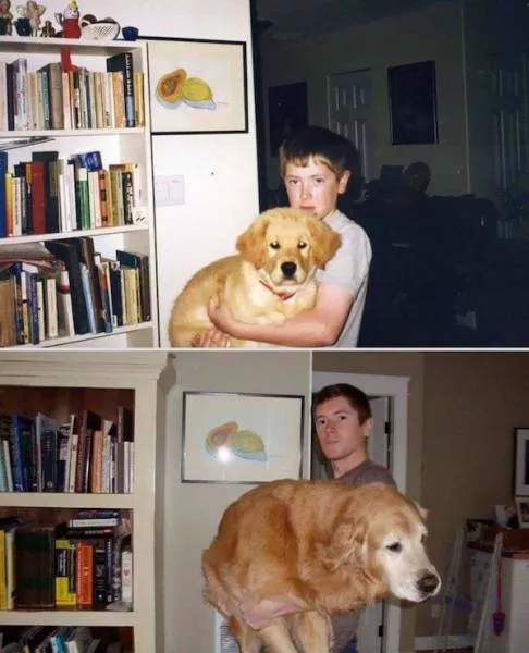 Adorable dogs transformation - #6 