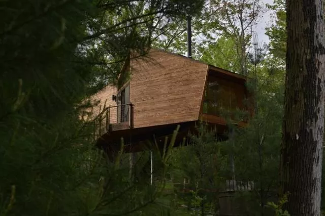 Willow treehouse - #6 