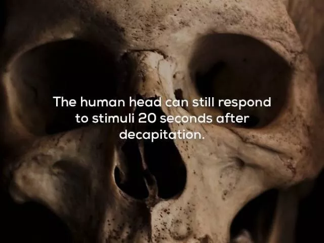 Some creepy facts