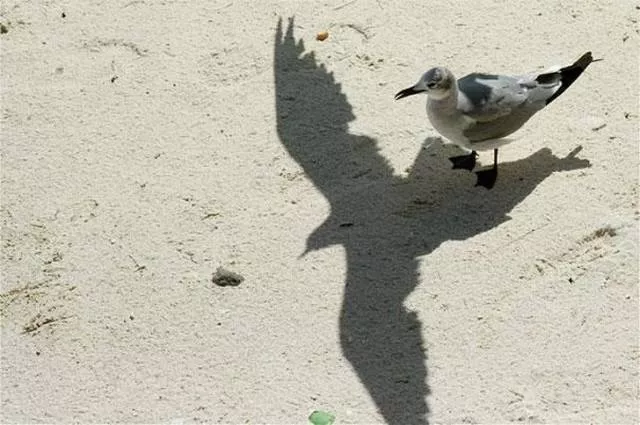 When the shadow goes to the next level