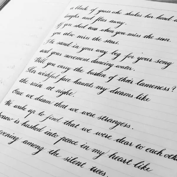 They write by hand better than a machine - #15 