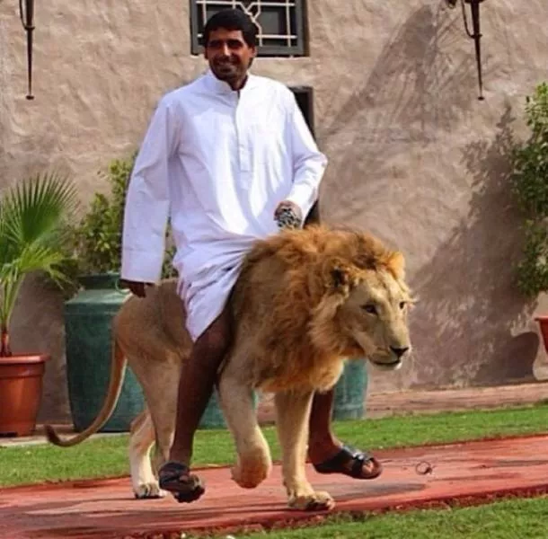 Amazing things you will see only in dubai - #5 
