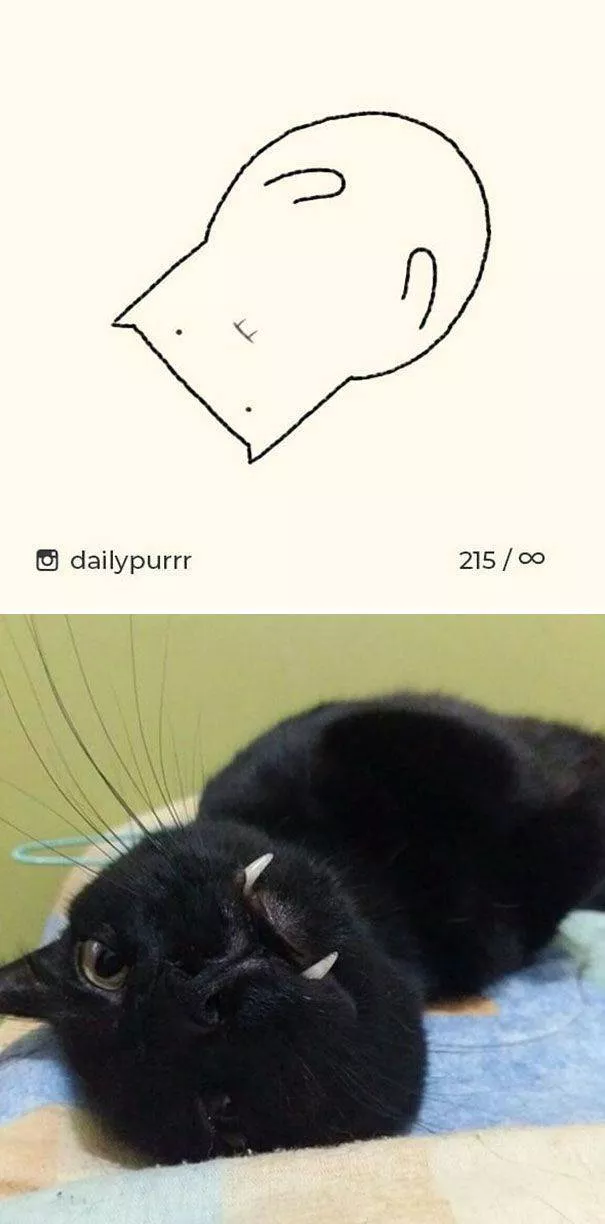 Cat drawings very stupid - #1 