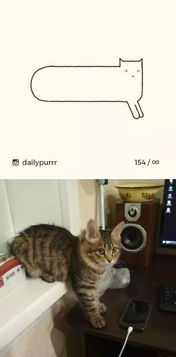 Cat drawings very stupid - #12 