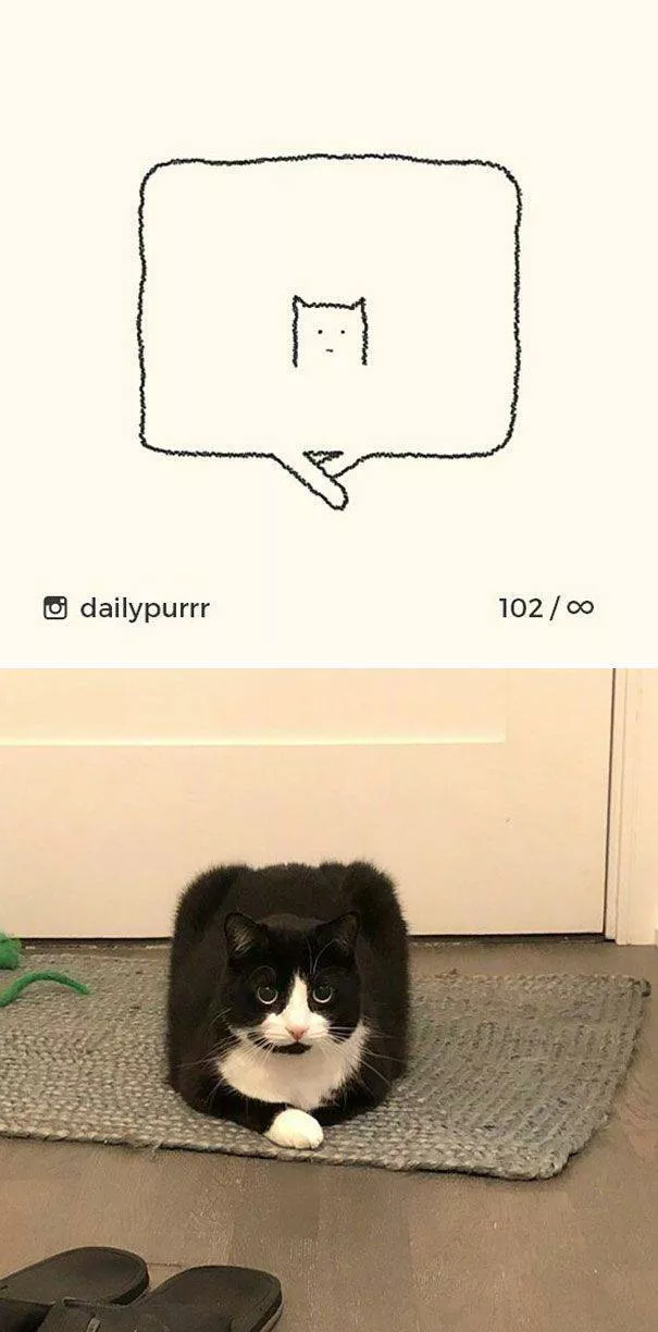 Cat drawings very stupid - #15 