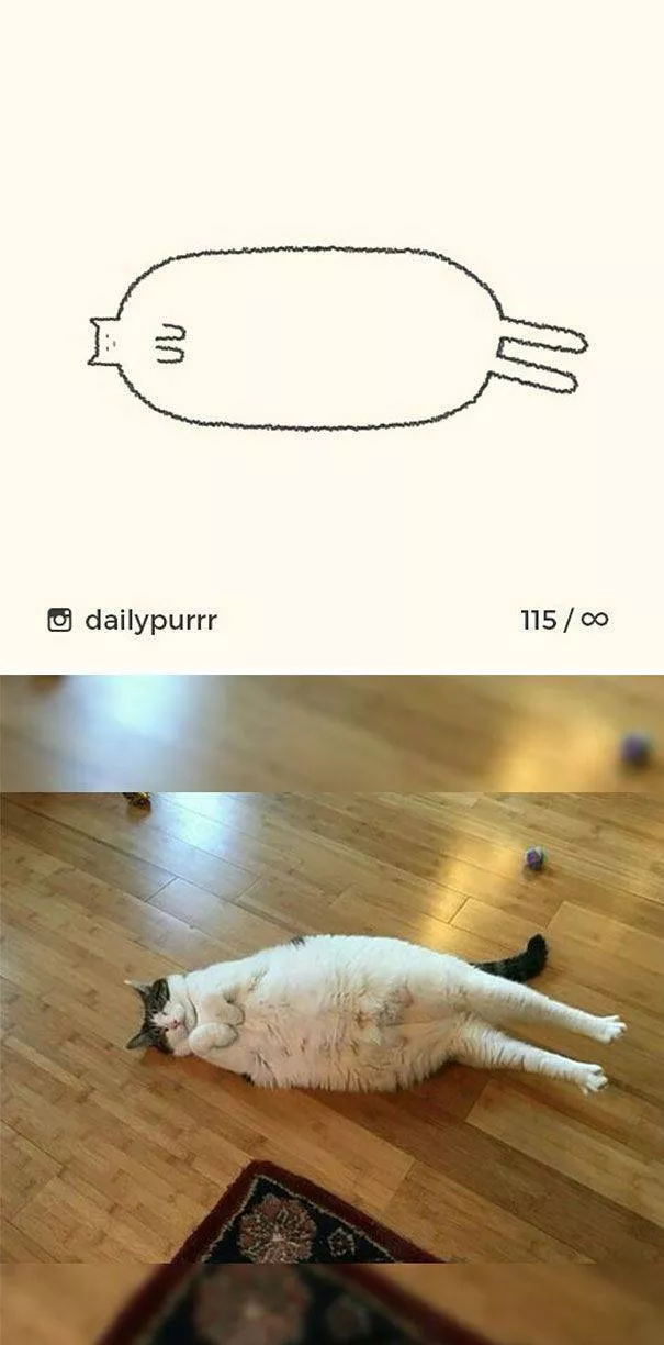 Cat drawings very stupid - #18 